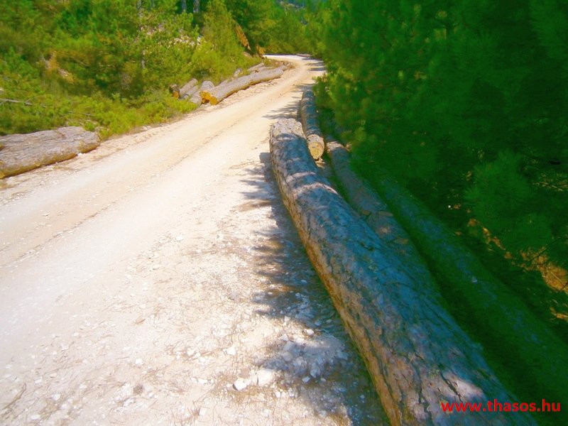 Az öreg falu, a vén platán és a folyók meséje
